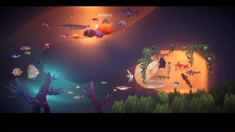 我是一只鱼官方最新版