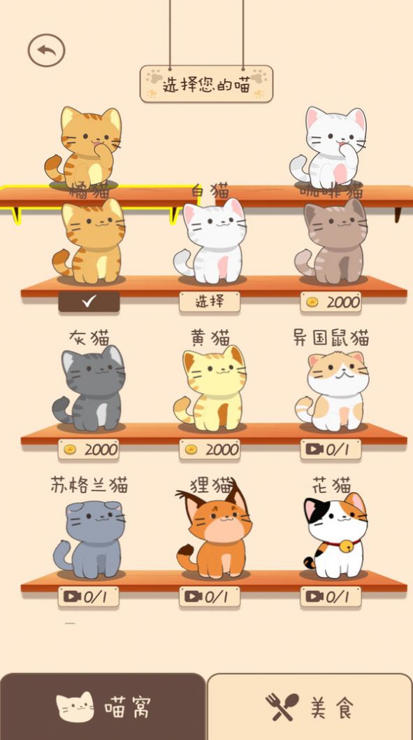 夏天的乐队官方最新版