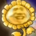 杂交植物战争派对原版