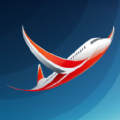 阿维亚航空公司直装游戏版