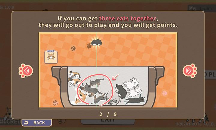 猫咪三重奏(CatTrio)图2