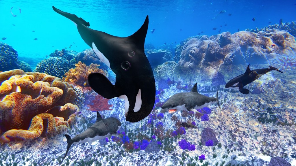 虎鲸模拟器(The Killer Whale)(4)