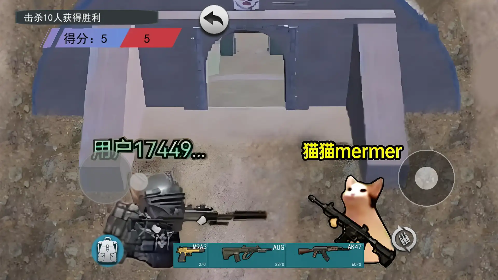 猫猫快来吃鸡(1)