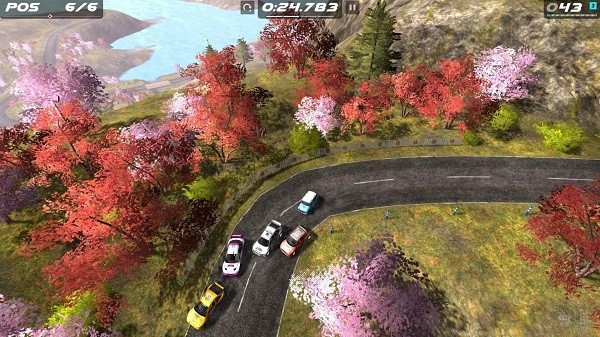 复古拉力赛车汉化版(3)