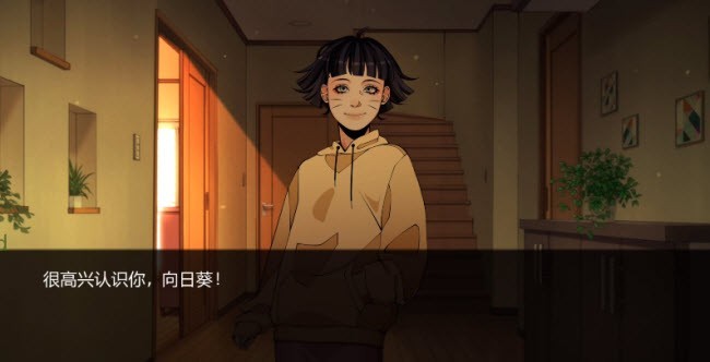 火影忍者忍者之主最新免费版