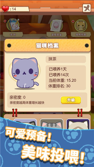 养只大肥猫游戏无广告版