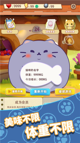 养只大肥猫游戏无广告版