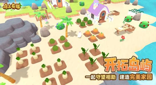 岛上有猫原版