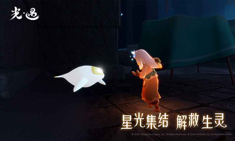 光遇(3)
