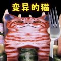 喂了个猫游戏完整版