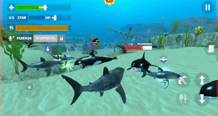 鲨鱼模拟器3D手游直装版