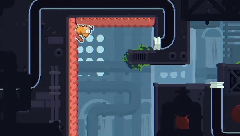 CATO黄油猫最新版