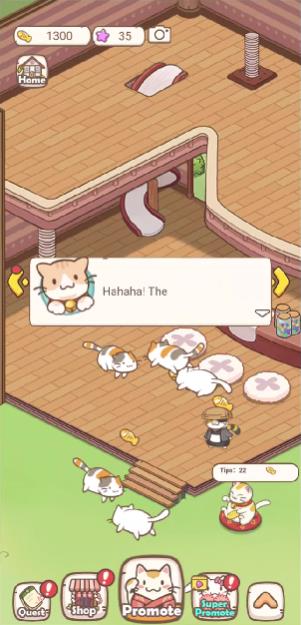 猫之人生可爱模拟(CatsLife)图2