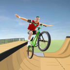 BMX游乐场(BMX Playground)最新版