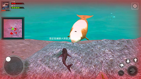 饥饿鲨鱼求生无广告版