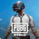 pubgpubg(国际服)