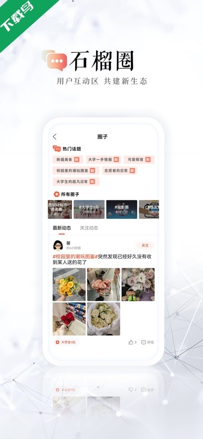 石榴云(4)