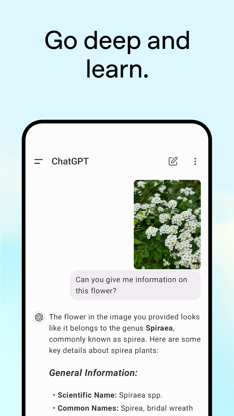 chat中文版图1