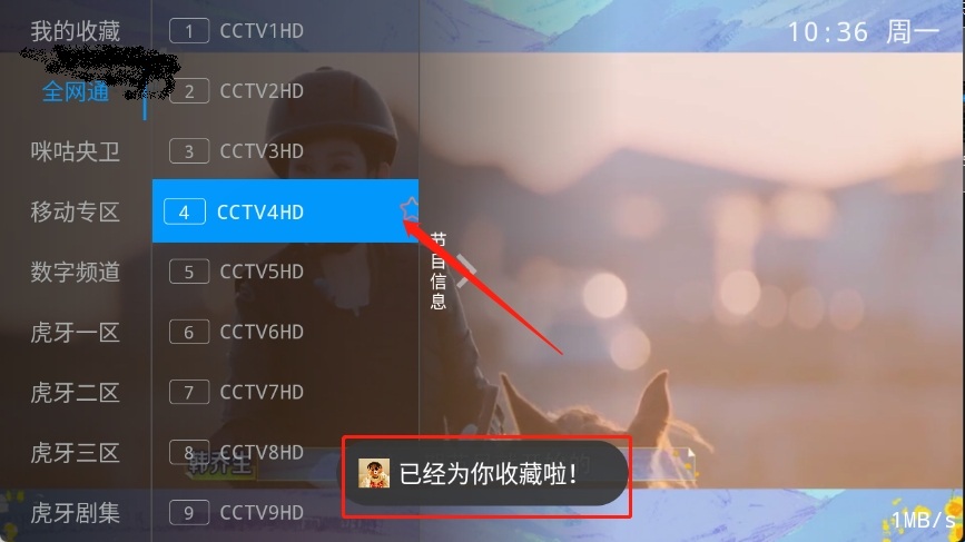 飞扬直播电视TV版