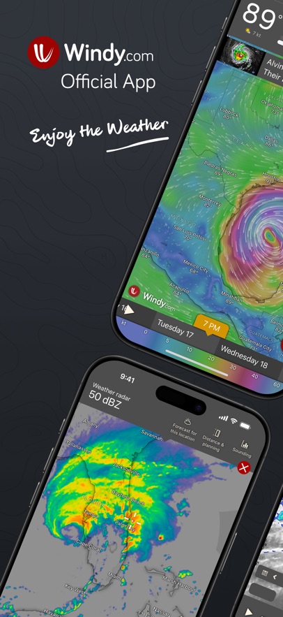 windy气象安卓版图1