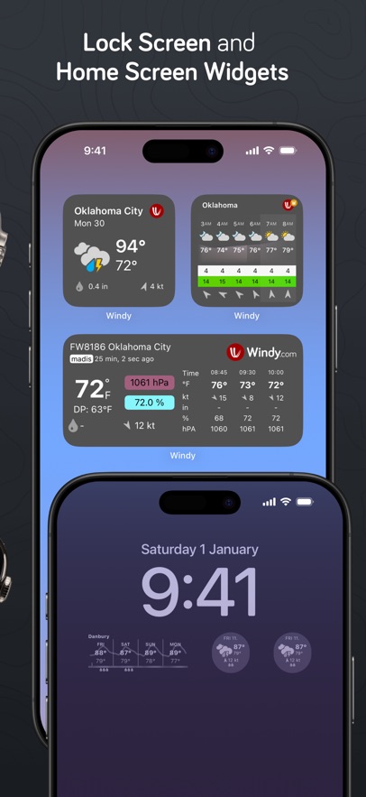 windy气象安卓版图3