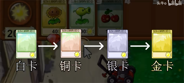 pvz新指导版图4