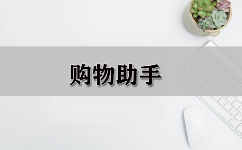 购物助手全攻略-哪款购物助手更实用
