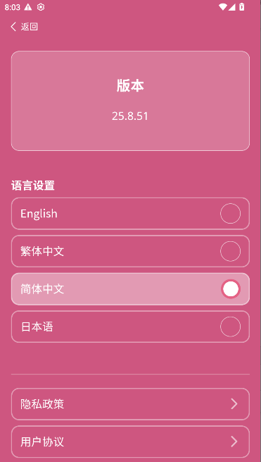 邓紫棋应援棒(1)