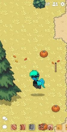 ponytown官方版(3)