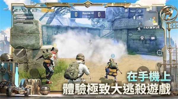 绝绝子直装图4