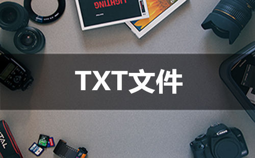 txt文件资源汇总——哪款txt文件更值得选择