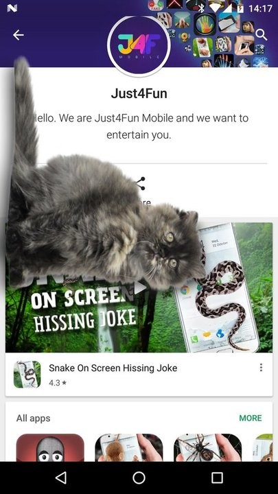 可爱猫动态屏幕