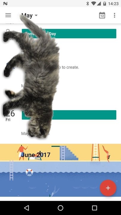 可爱猫动态屏幕