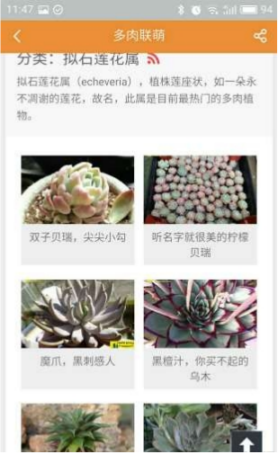 多肉联萌客户端最新免费版