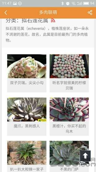 多肉联萌客户端最新免费版