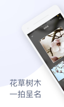 花伴侣手机版图2