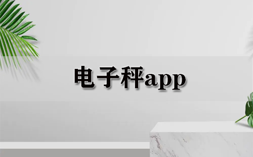 电子秤应用程序汇总-哪款电子秤应用程序更出色
