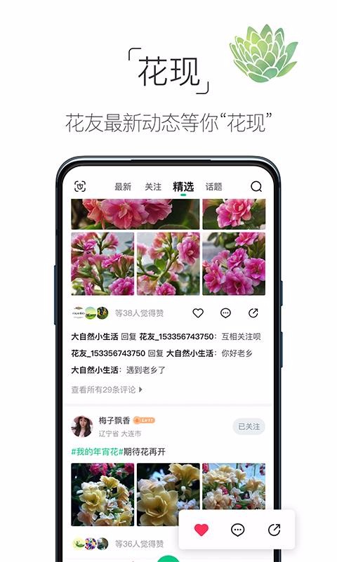 养花大全截图1