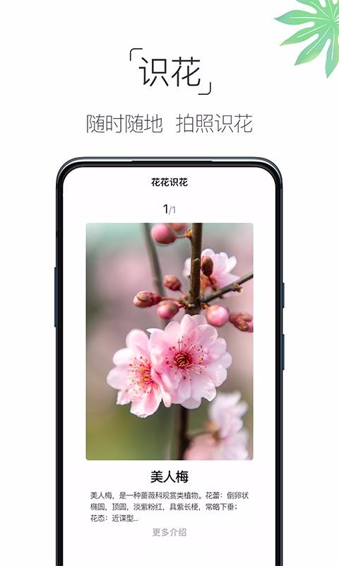 养花大全截图3