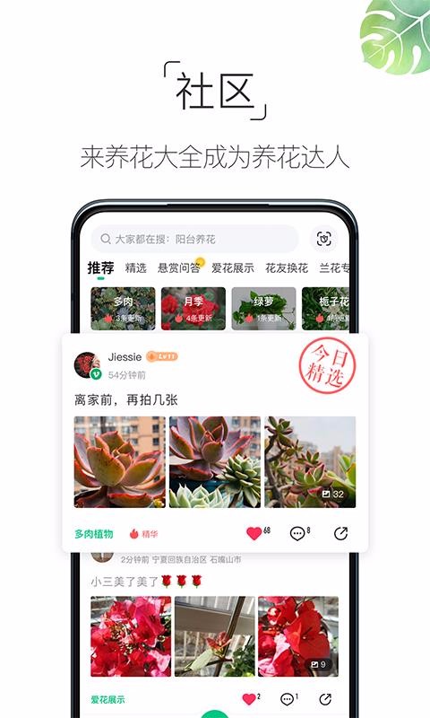 养花大全截图2