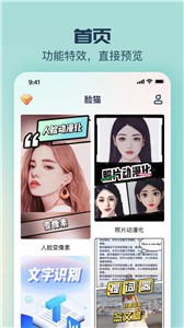 脸猫(3)