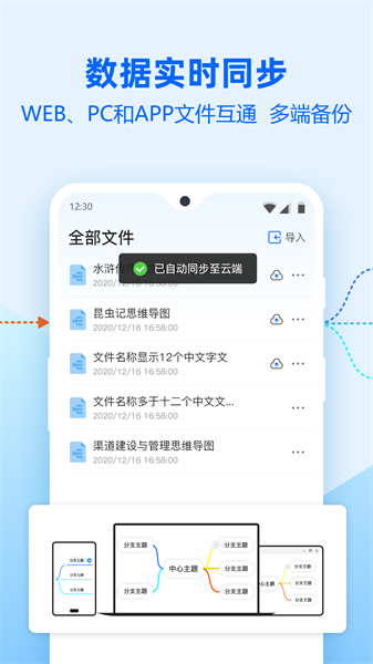 迅捷思维导图原版图4