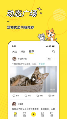 宠圈图2