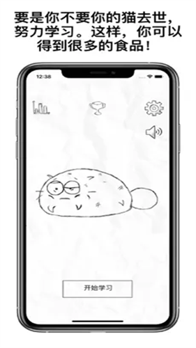 fatty cat