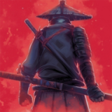忍者岚2暗影归来原版