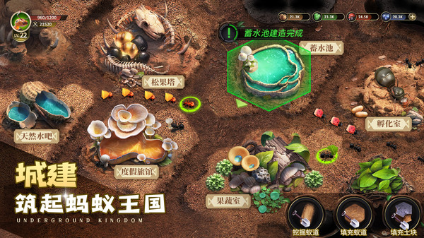 小小蚁国(37版图2