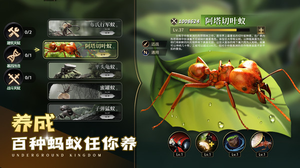 小小蚁国(官服)官方正版
