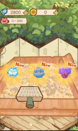 猫屋猫屎香图2