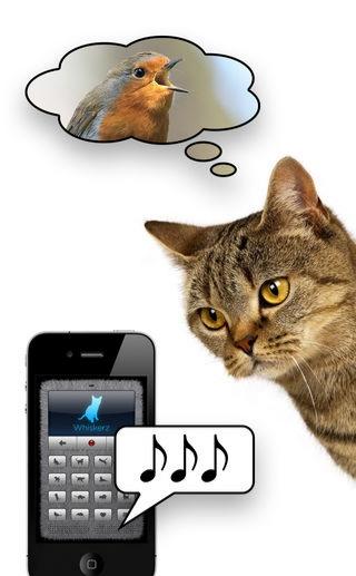 human to cat通用版