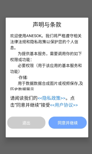 ANESOK正版图3